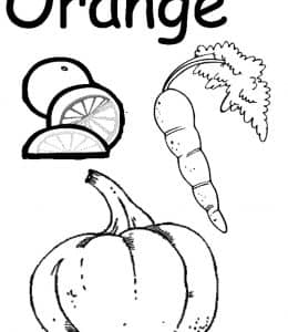 O is for orange！12张认识颜色按照数字图画不同的颜色趣味作业下载！