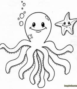 10张章鱼海螺小鱼海底景致幼儿涂色简笔画图片大全！