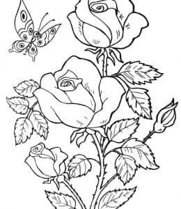 一起来学习画花朵！9张大雏菊牡丹花花朵卡通涂色简笔画