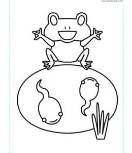 蜗牛乌龟青蛙小鸟小鱼小鸡10张有趣的夏日动物涂色简笔画下载！