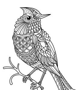 鸟类为什么会飞？10张鸽子孔雀麻雀燕子公鸡简笔画填色图片！