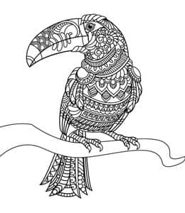 15张最可爱的大嘴鸟老鹰蜂鸟鸽子猫头鹰卡通曼陀罗涂色大全！