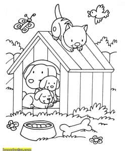 14张农场里的小狗小猫小鸭子小动物卡通涂色简笔画大全！