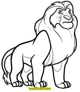 14张充满力量的狮子《狮子王》以及更多曼陀罗狮子填色图片大全