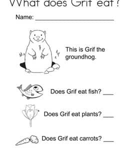 What does Grif eat? 10张有趣的动物Grif涂色描红作业题！