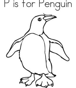 P is for Penguin. 12张老鹰企鹅猫头鹰鸟窝涂色训练和字母描红练习题！