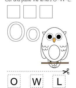 O is for owl. 12张猫头鹰鸽子小鸟鸟类英文单词描红作业题！