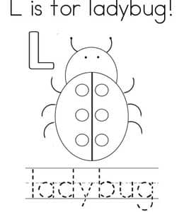 L is for ladybug! 10张瓢虫毛毛虫蜻蜓昆虫手工英文单词路线图免费下载！