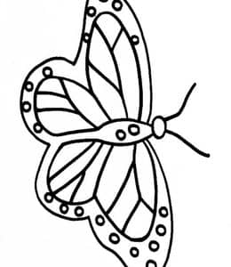 蝴蝶的一生！8张有趣的蝴蝶蚊子蜜蜂毛毛虫涂色简笔画下载！