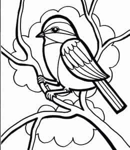 爱唱歌的黄鹂鸟！12张叽叽喳喳的唱歌的小鸟卡通涂色图片！