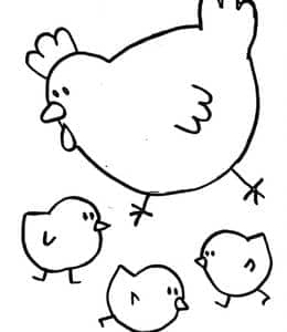 勤劳而爱心满满的鸡妈妈！10张母鸡妈妈和小鸡宝宝卡通涂色简笔画！