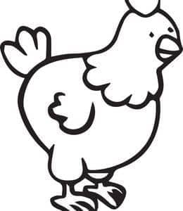 农场中的小公鸡！10张骄傲的小公鸡卡通涂色简笔画！