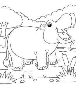 有趣和独特的动物！8张温柔的河马卡通涂色儿童画免费下载！