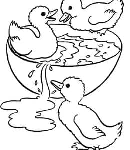 12张玩耍的天真可爱小鸭子卡通涂色儿童画免费下载