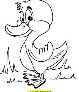 一起来画绿头鸭！10张有趣的卡通小鸭子手绘涂色简笔画下载！