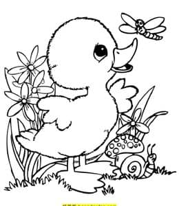 15张草虫中的暖融融的小小鸭子手绘儿童涂色简笔画！