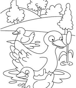 10张池塘中的小鸭子童趣的卡通儿童涂色儿童画下载！