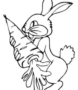 兔子为什么喜欢吃胡萝卜？14张大板牙长耳朵的小兔子涂色简笔画！