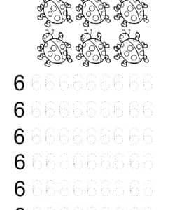 11张为学前孩子们准备的更多数字6的描红作业题！