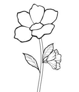 12张可爱的简单的小小的郁金香小雏菊花朵填色简笔画！