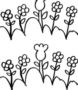 10张简单而有趣画小红花向日葵仙人掌郁金香小雏菊涂色儿童简笔画！