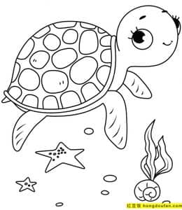 如何画一只小乌龟！15张大眼睛的小乌龟卡通涂色简笔画！