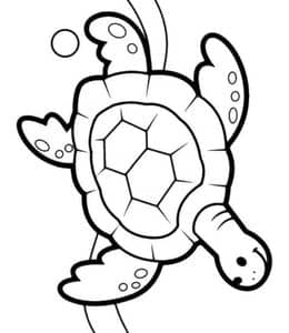 畅游在海底世界！10张小朋友们最喜欢的宠物小乌龟卡通涂色！