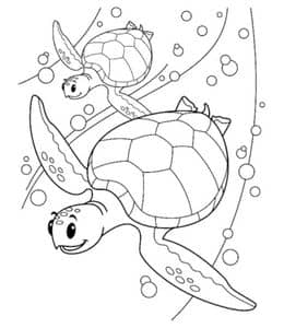 11张简单的复杂的小乌龟大乌龟小鱼卡通涂色简笔画免费下载