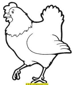 10张威武雄壮的公鸡孵蛋的母鸡闹哄哄的小鸡卡通涂色简笔画！