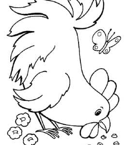 11张爱捉虫子的小公鸡小母鸡小鸡涂色儿童简笔画