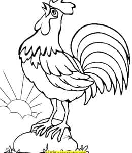 旭日升公鸡喔喔叫！12张威武的公鸡圆滚滚的母鸡涂色卡通图片！