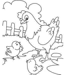 13张温柔而专注的大母鸡和小鸡宝宝卡通涂色图片大全！