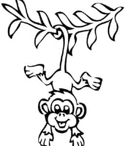 为什么小猴子会倒挂在树上？11张猩猩猴子狒狒动物涂色简笔画