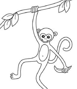 猴子要如何画？10张为孩子们准备的简单猴子涂色简笔画！