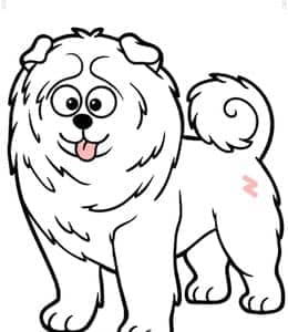 12张忠实可爱毛茸茸的松狮犬以及更多简单小狗儿童涂色简笔画！