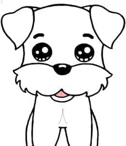 10张可爱的雪纳瑞田园犬狐狸犬卡通涂色儿童简笔画！