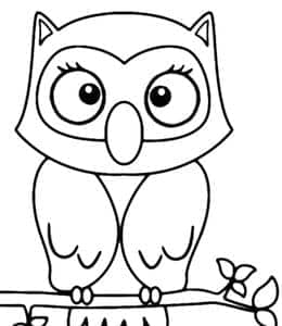 谁是森林的小博士？12张简单可爱的有趣猫头鹰涂色简笔画！