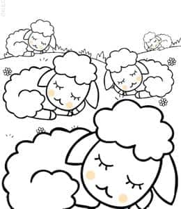 山坡上睡觉的小羊羔！10张咩咩小绵羊农场卡通涂色图片！