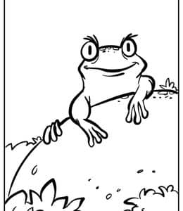 10张独特的大眼睛小青蛙涂色简笔画免费下载！