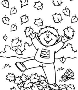 认识秋天的落叶！10张秋日中的落叶和孩子们卡通涂色儿童简笔画！