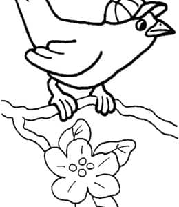带着帽子的小鸟！10张有趣的卡通小鸟涂色儿童画免费下载！