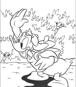 11张愤怒的唐老鸭和他的小小鸭子们动画卡通涂色大全！
