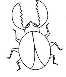 11张天牛犀牛甲蜘蛛蚂蚱蜜蜂毛毛虫昆虫涂色涂色简笔画大全