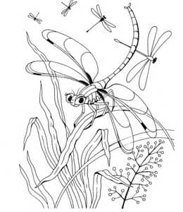 14张简单有趣的夏日昆虫涂色儿童画免费下载！