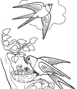 10张春天的燕子山雀火烈鸟大嘴鸟卡通涂色免费图片大全！