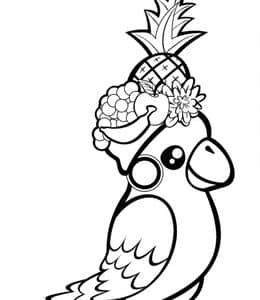 小鸟的有趣事实！10张孔雀鹦鹉小鸟卡通涂色儿童画免费下载！