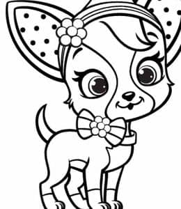 10张大耳朵的蝴蝶犬以及更多可爱的小狗卡通涂色简笔画！