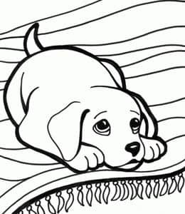 10张毛茸茸的调皮捣蛋的小狗子卡通涂色简笔画下载！