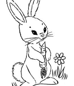 10张胆小又可爱的小兔子一家人儿童涂色涂色简笔画！