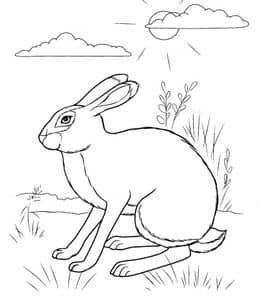 兔子是什么颜色的？9张可以给可爱的兔兔涂色的有趣简笔画！